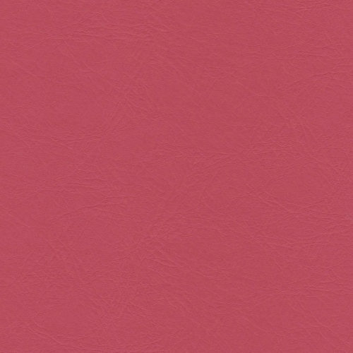 Blossom 17-40
