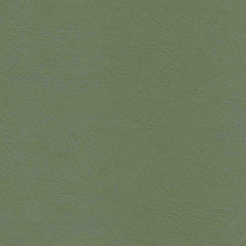 Olive 17-45